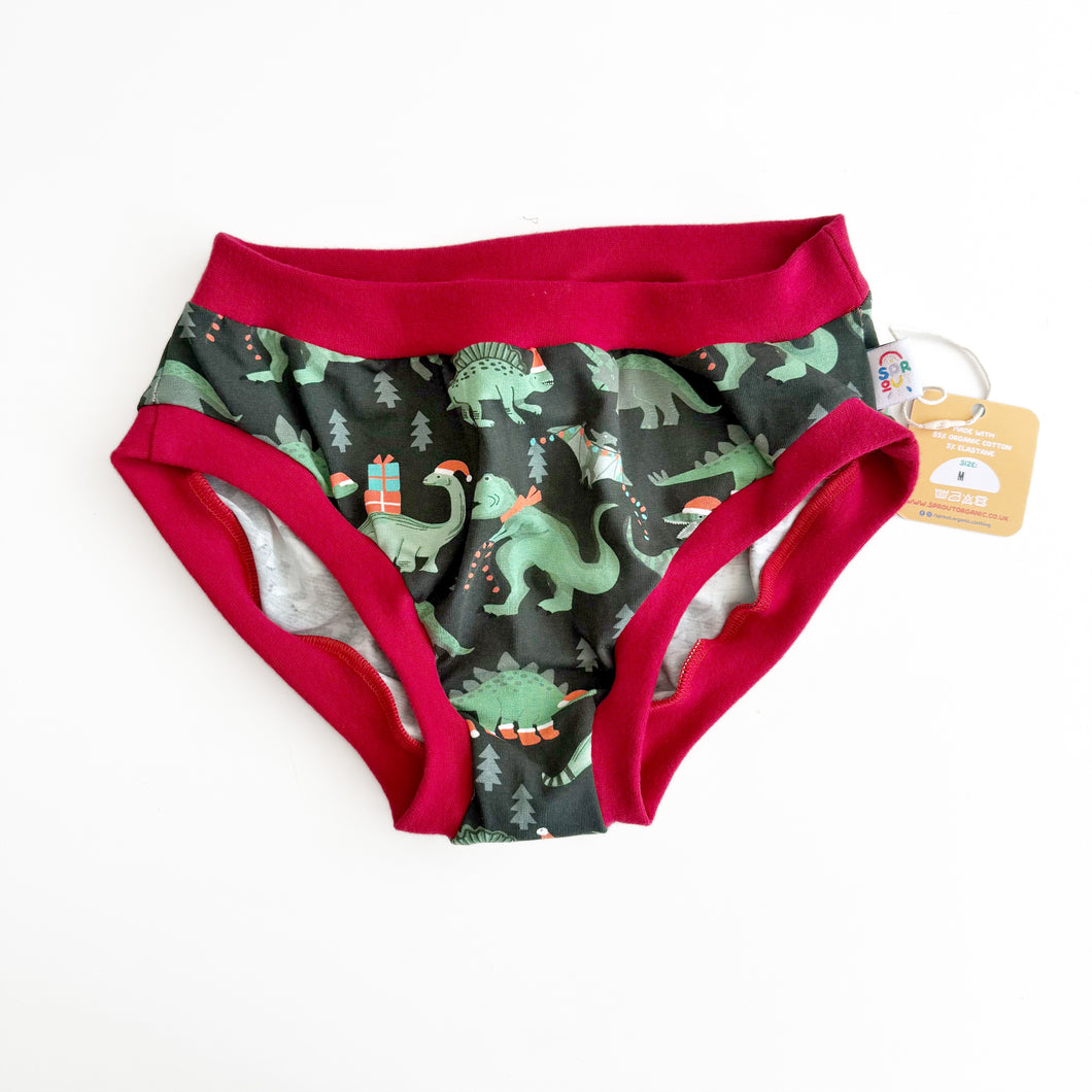 Christmas Dinosaur Knickers - M