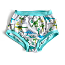 High Waisted Dinosaur Pants | Women's Knickers | Organic Cotton Underwear