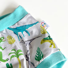 High Waisted Dinosaur Pants | Women's Knickers | Organic Cotton Underwear