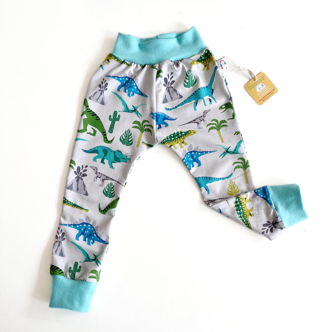 Dinosaur Trousers 2-3
