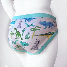 Dinosaur Adult Pants | Women's Knickers | Organic Cotton Underwear