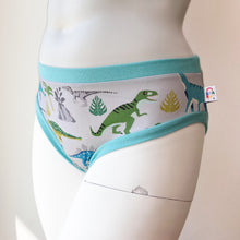 Dinosaur Adult Pants | Women's Knickers | Organic Cotton Underwear