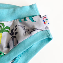Dinosaur Adult Pants | Women's Knickers | Organic Cotton Underwear