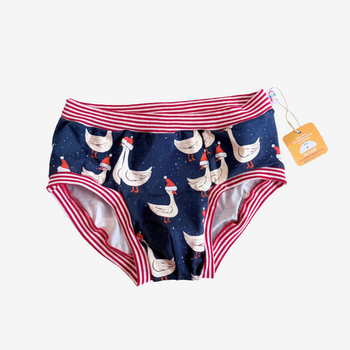 Christmas Goose Briefs - Medium