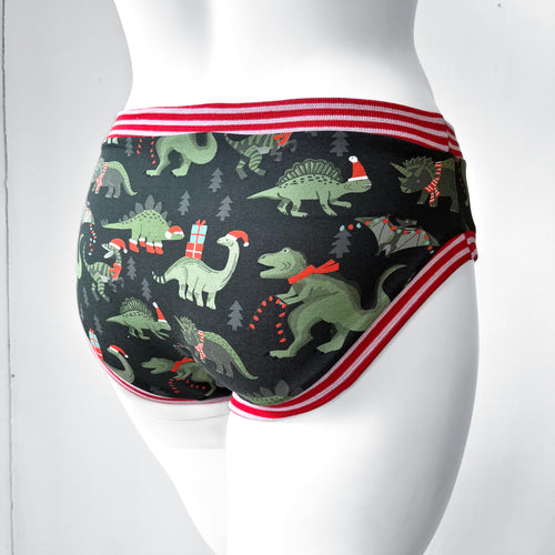 Christmas Dinosaur Adult Pants | Women's Knickers | Organic Cotton Underwear