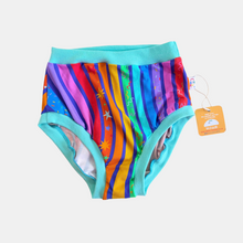 Rainbow Stripe High Waisted Knickers - XS