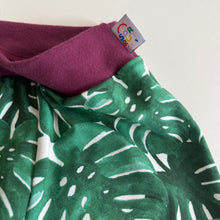 Cheeseplant Unisex Boxers | Men’s Women’s Pants | Organic Cotton Underwear