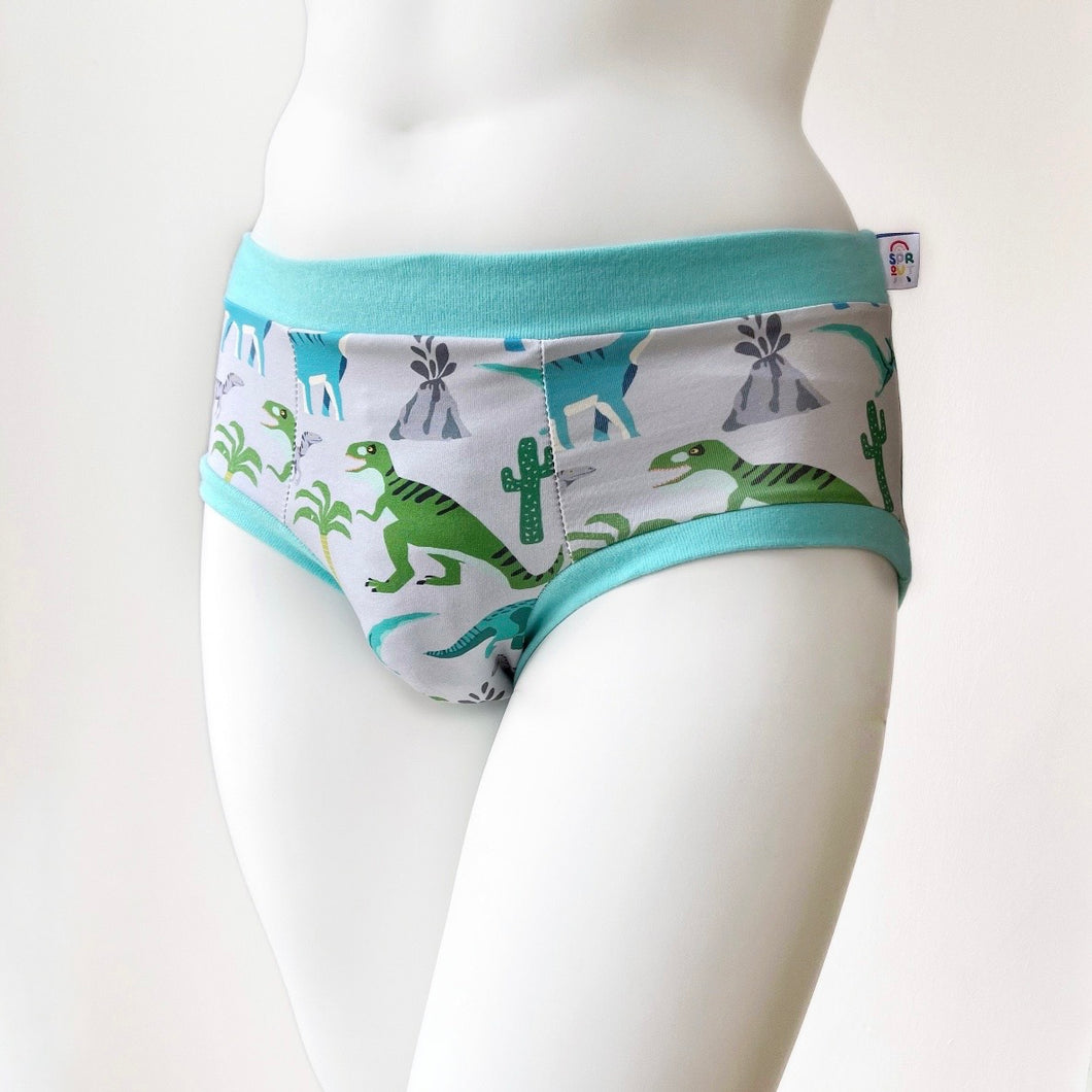 Dinosaur Pouch Fronted Briefs | Men’s Pants | Organic Cotton Underwear