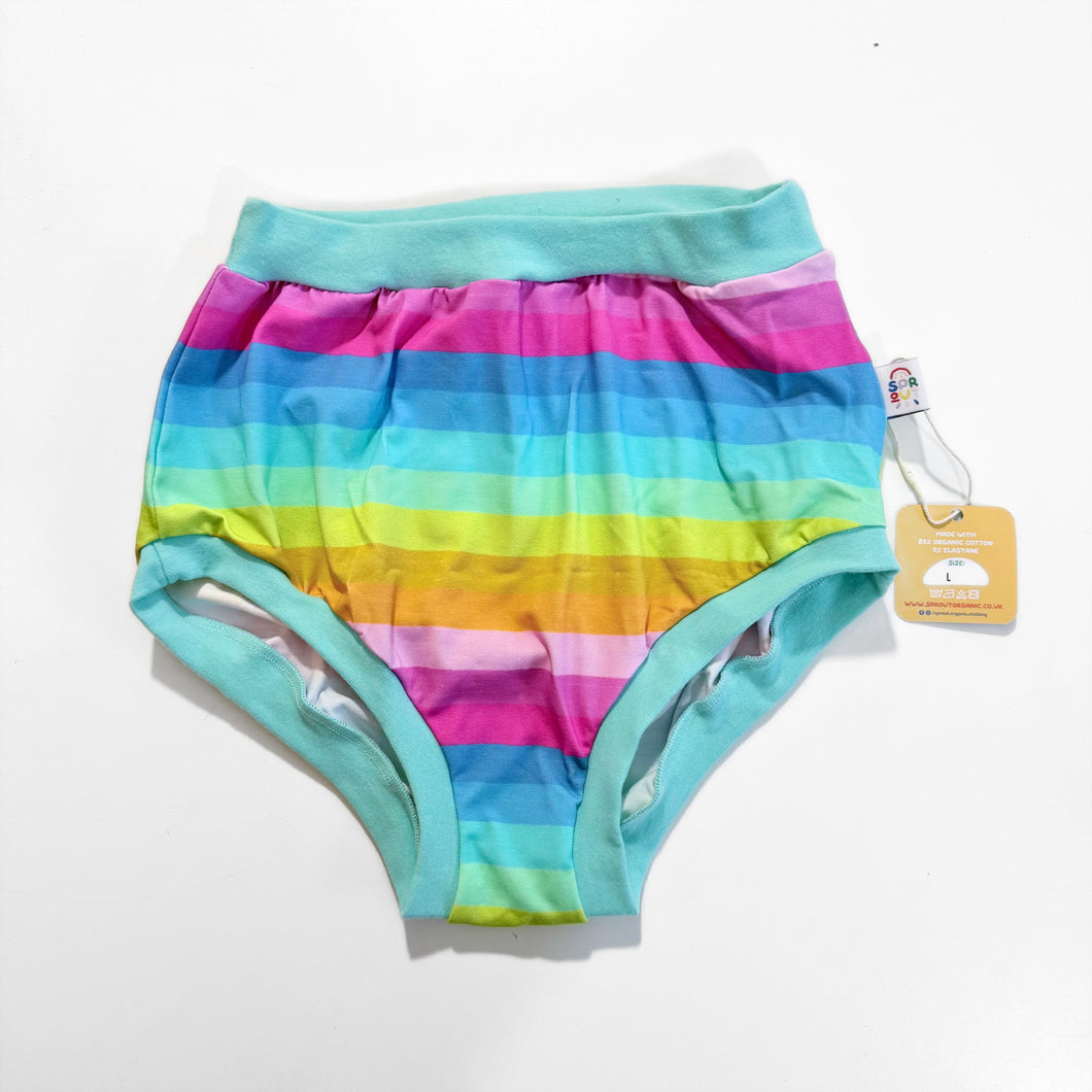 Pastel Stripe High Waisted Knickers - Large