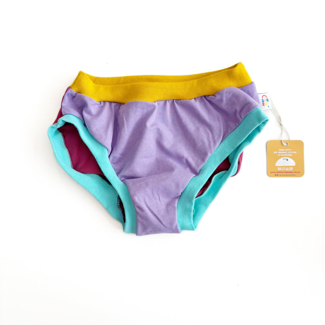 Pastel Colour Block Knickers - Medium