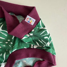 Cheeseplant Pouch Fronted Briefs | Men’s Pants | Organic Cotton Underwear