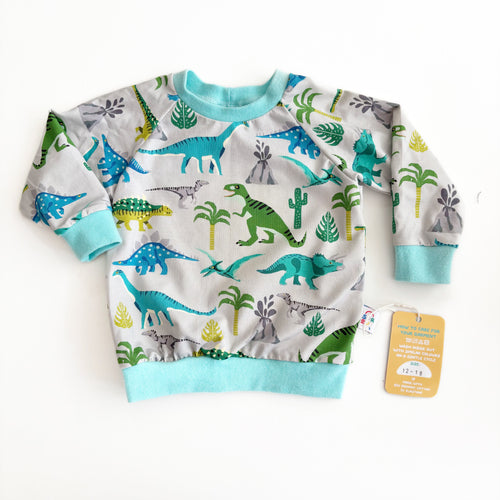 Dinosaur Top 12-18