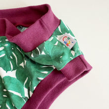 Cheeseplant Adult Pants | Women's Knickers | Organic Cotton Underwear