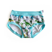 Dinosaur Pouch Fronted Briefs | Men’s Pants | Organic Cotton Underwear