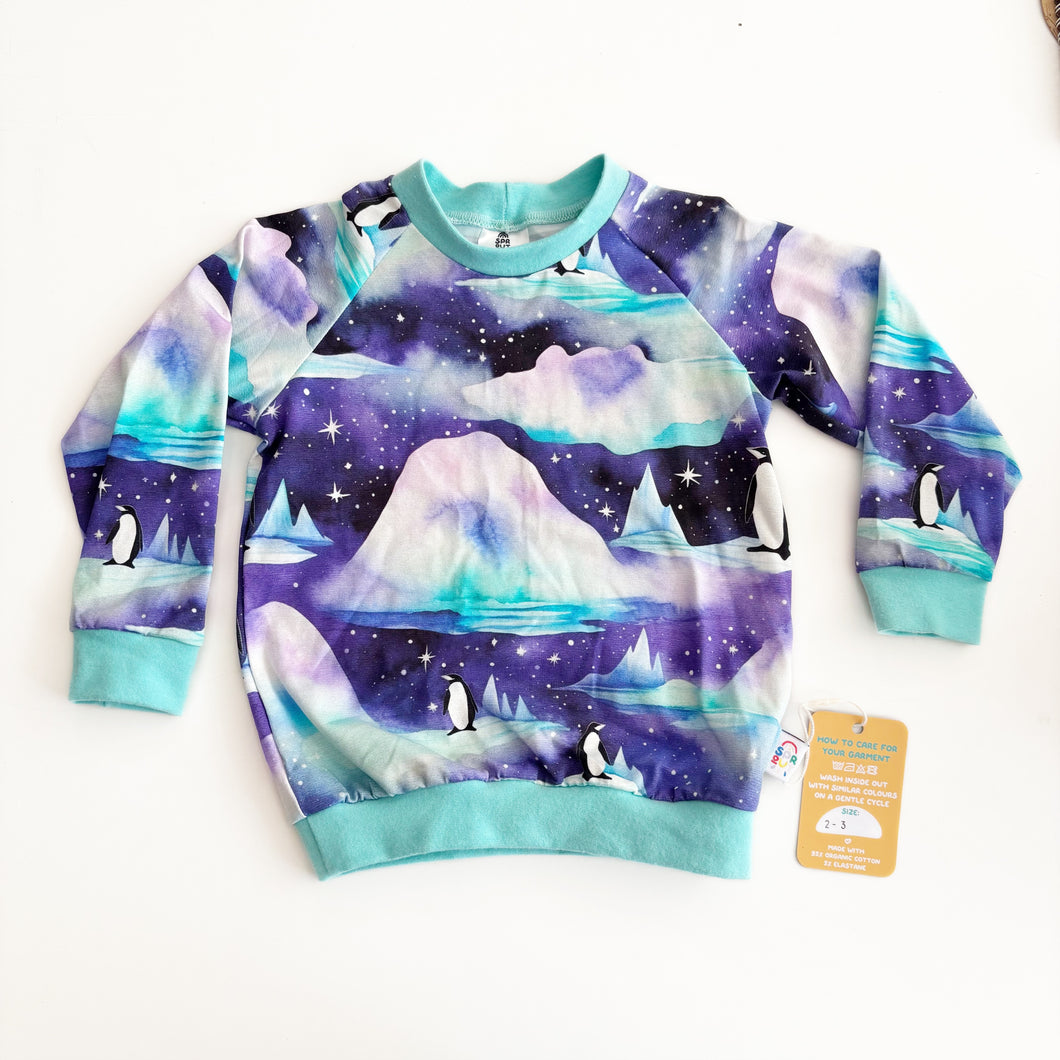Penguin Top 2-3