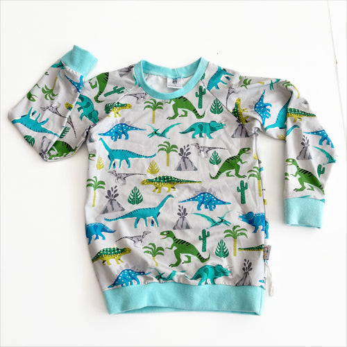 Dinosaur Top 5-6