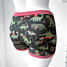 Christmas Dinosaur Unisex Boxers | Men’s Women's Pants | Organic Cotton Underwear