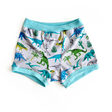 Dinosaur Unisex Boxers | Men’s Women's Pants | Organic Cotton Underwear