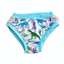 Dinosaur Adult Pants | Women's Knickers | Organic Cotton Underwear